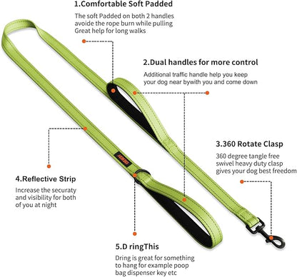 Heavy Duty Double Handle Reflective Leash for Large Breed Dogs - Perfect for Medium to Large Dogs (5FT, Light Green)