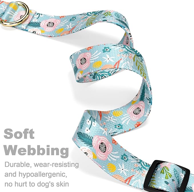 Rnivvi Dog Collar for Small Dogs, Cute Floral Heavy Duty Adjustable Puppy Collar with Quick Release Buckle for Boy Girl & Female, Pet Accessories for Walking Running, XS Length 5/8" Width, Blue