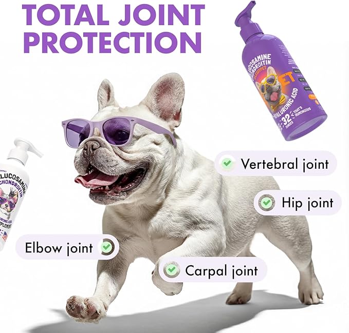 Liquid Glucosamine for Dogs Bacon Flavour with Chondroitin, MSM & Hyaluronic Acid K9 Supplement Hip and Joint Formula Advanced Mobility Joint Pain Relief Senior Advanced Supplement for All Breeds