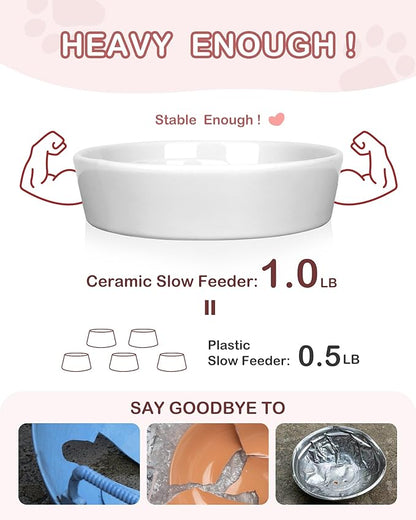 TRUVIC Ceramic Slow Feeder Dog Bowls Small Breed, 0.6 Cup Slow Feeder Cat Bowls for Fast Eaters, Ceramic Dog Food Dish no Black Chin, Puzzle Bowl for Small Dogs and Cats, White