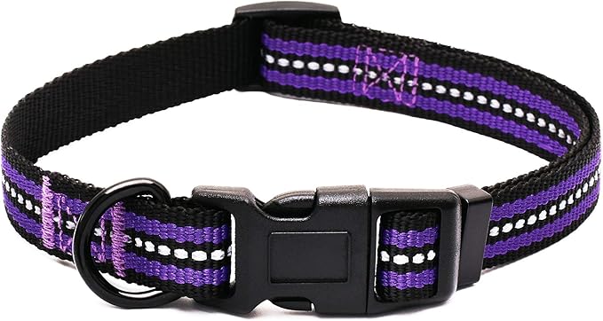 Mile High Life Dog Collar | Nylon Reflective Dog Collars | Light Weight Puppy Collars | Purple Dog Collars for Medium Dogs (Solid Purple, Medium)