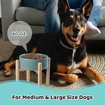 SPUNKYJUNKY Elevated Ceramic Dog Food and Water Bowl with Wooden Stand for Medium and Large Dogs (Single 60OZ, Dark Green)