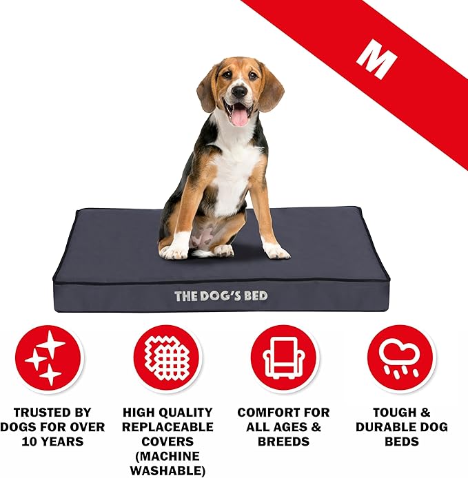 The Dog’s Bed Orthopedic Dog Bed, Medium Grey with Black Trim, Waterproof, Supportive Dog Bed with Washable Replaceable Covers, Veterinary Approved