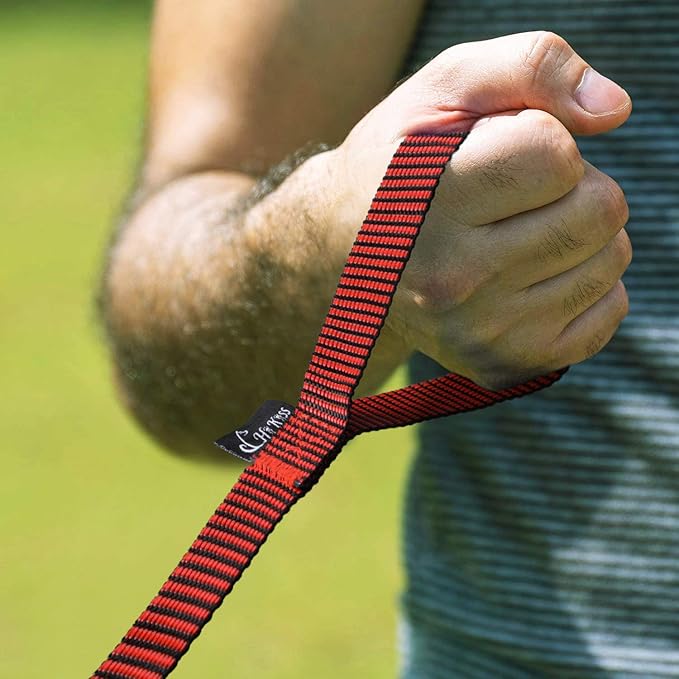 Hi Kiss Dog/Puppy Obedience Recall Training Agility Lead - 15ft 20ft 30ft 50ft 100ft Training Leash - Great for Training, Play, Camping, or Backyard(30ft,Black_red)