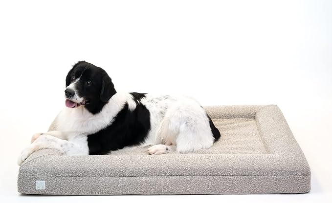 Bluewater Dog Luxury Boucle Orthopedic Memory Foam Dog Bed with Waterproof Liner and Machine Washable Cover with YKK Zippers (X-Large, 61" L x 44" W x 7" Th, Sand)