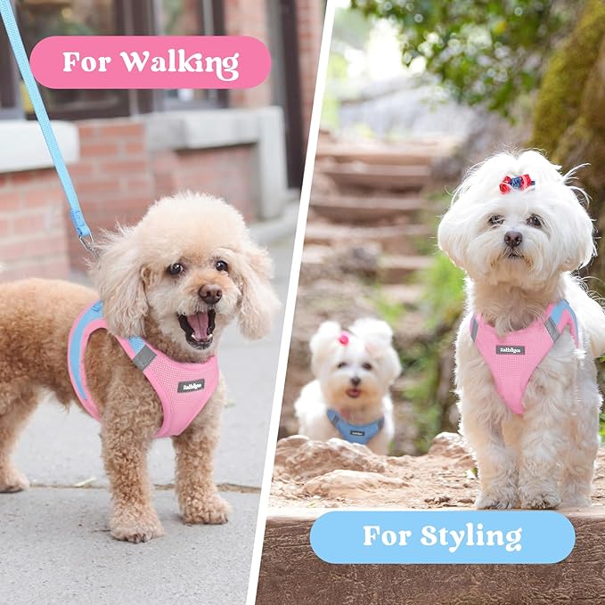 rabbitgoo Small Dog Harness, Step-in Soft Mesh Puppy Vest with Safety Buckle, Breathable Reflective Pet Harness for Small Medium Dogs, Blue & Light Pink L