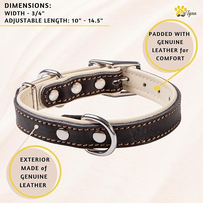 ADITYNA Heavy-Duty Black Leather Dog Collar for Small Dogs - Soft Padded for Comfort - Small Dog Collar for Walking, Training, and Hiking