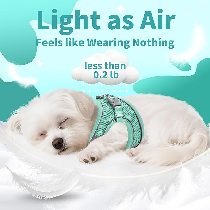 AIITLE No Pull Dog Harness and Leash Set, Step in Adjustable Dog Harness with Padded Vest for All Weather, Dog Leash with Soft Padded Handle, Easy to Put on Small and Medium Dogs Pure Turquoise S