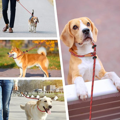 lynxking Slip Lead Dog Leash Reflective, Heavy Duty Comfortable Strong Rope for Large Medium Small Dogs No Pull Pet Training (Red, Small 3/8in x 6ft-Slip Lead)