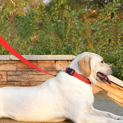 Dog Leash 6 FT Padded Handle Nylon Reflective Dogs Leashes for Large Dogs Red