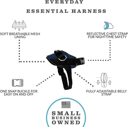 ShawnCo Essential Dog Harness, No-Pull Pet Vest with 3 Leash Clips, No Choke, Reflective, Adjustable and Padded, for Easy Walking and Training for Small, Medium and Large Dogs (Pacific Blue, S)