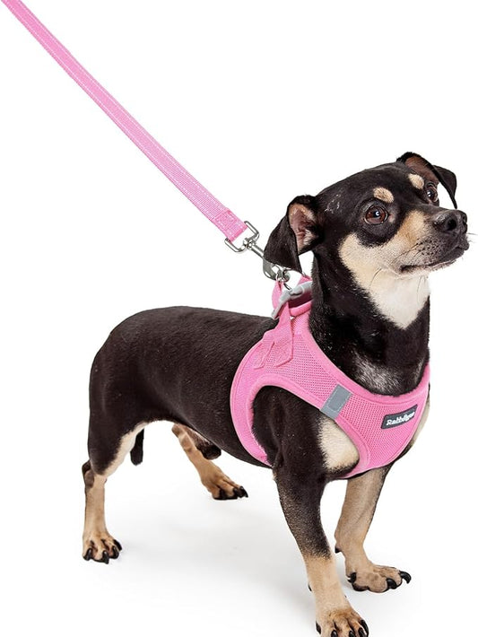 rabbitgoo Dog Harness Small Sized and Leash Set, Step in Soft Light Puppy Vest, Breathable Mesh Pet Harness, Reflective for Safe Easy Walking, Light Pink XXXS