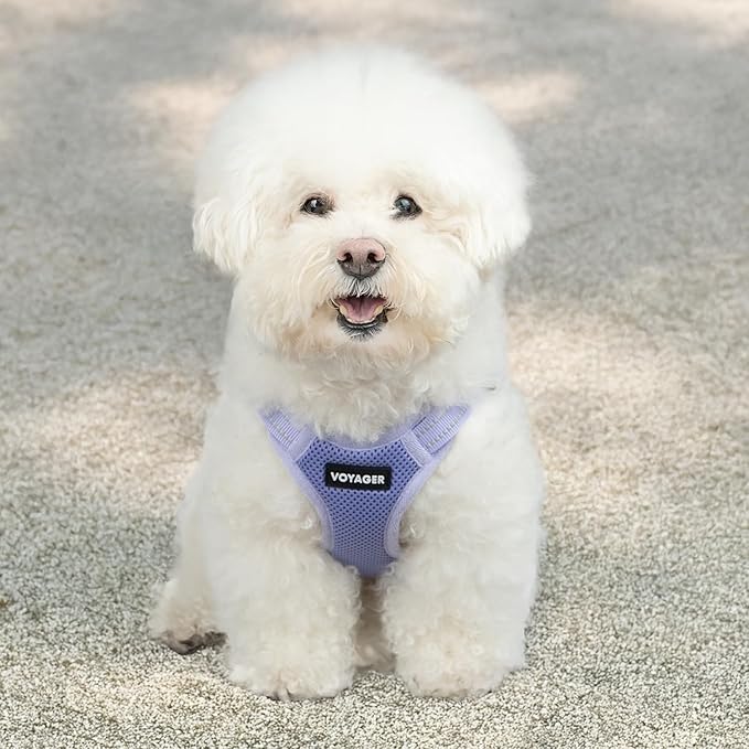 Best Pet Supplies Voyager Adjustable Step-in Flex Breathable Mesh Dog Harness for Small Medium Large Dogs (Lavender), XS