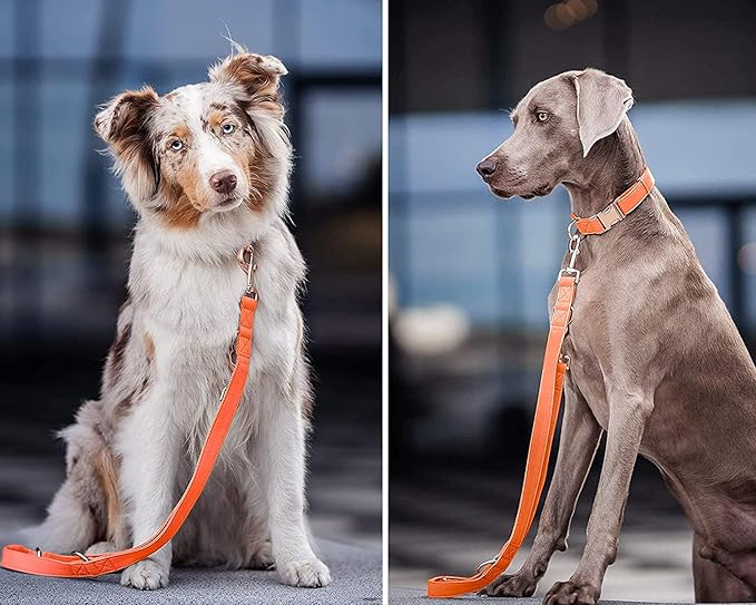 Soft Leather Dog Collar and Leash (6.6') Set - Stylish Rose Gold Heavy Duty Metal Buckle, 4 Adjustable Lengths Leash for Small Medium Large Dogs - Comfortable & Easy to Clean Orange M(13.8"-19.7")