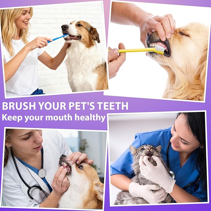 Newday Dog Toothbrush Set of 8 - Dual Headed, Dental Hygiene Convenient Soft Toothbrush to Clean pet Teeth, Dog Tooth Brushes for Small to Large Dogs, Cats, and Most Pets, Teeth Brush in Bulk