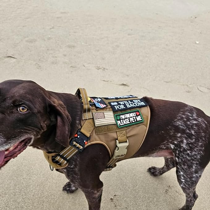 2 PCS Service Dog Patches with Removable Tactical Hook Loop Embroidered in Training Patch Do Not Pet Working Dog Patch for Vest Harnesses Collars Leashes