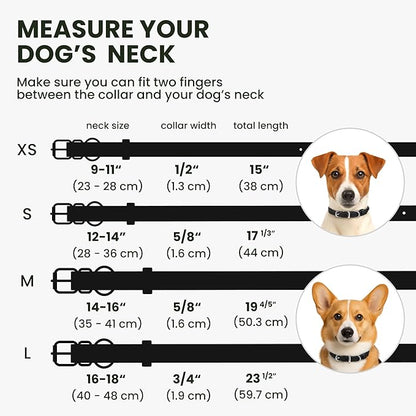 BRONZEDOG Rolled Leather Dog Collar for Small Medium Large Dogs with QR ID Tag (M: 14-16 Inch, Glossy Black)