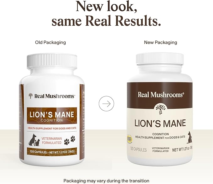 Real Mushrooms Lion’s Mane Pet Mushroom Supplement – Pet Wellbeing Capsules – for Cat & Dog Supplement & Vitamins – Support Mindful Routines – Organic, Vegan, Non-GMO, 120 Count