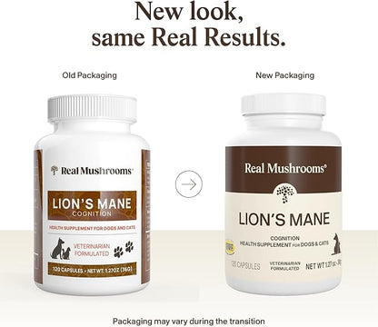 Real Mushrooms Lion’s Mane Pet Mushroom Supplement – Pet Wellbeing Capsules – for Cat & Dog Supplement & Vitamins – Support Mindful Routines – Organic, Vegan, Non-GMO, 120 Count