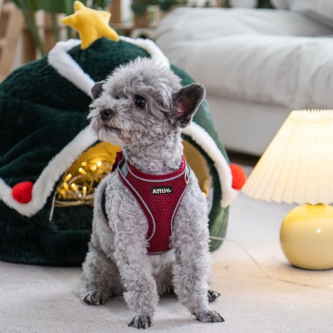 AIITLE Easy Walk Dog Harness and Leash Set - Christmas Pet Supply No Pull, Step in Adjustable Dog Harness with Padded Vest, No Choke Over, Easy to Put on Medium Dogs Burgundy L