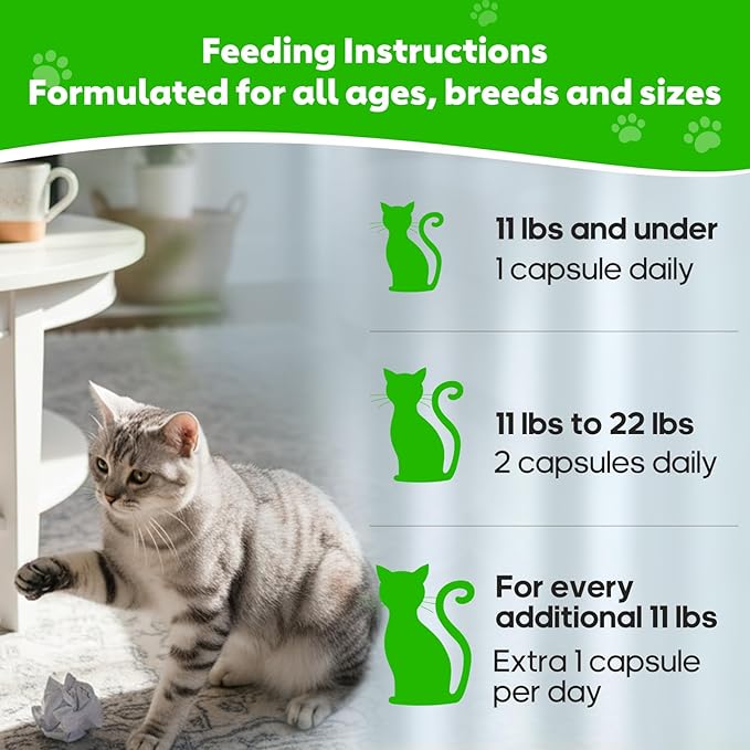 Whiskopia Hairball Relief for Cats, Cat Hairball Remedy, Cat Hairball Control with Psyllium Seed Husk and Vitamins, Helps Eliminate & Prevent Hairballs, Supports Healthy Digestion & Coat, 50 Capsules