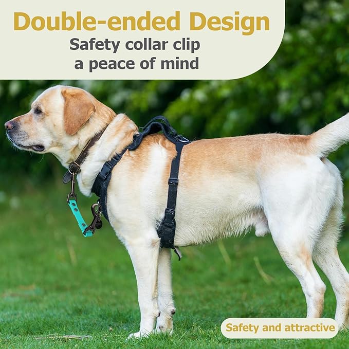 Dog Safety Collar Clip – Waterproof Backup Connector with Dual Hooks for Harness and Collar | Leash Safety Attachment for Training & Walking (Green, 9 inch)