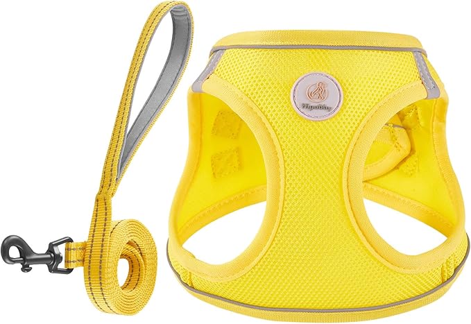 Hipubby Dog Harness and Leash Set, No Pull Soft Mesh Puppy Harness for Small Medium Dogs, Cats - Step in Reflective Breathable Lightweight Vest Harness for Walking, Training - Yellow, XXS
