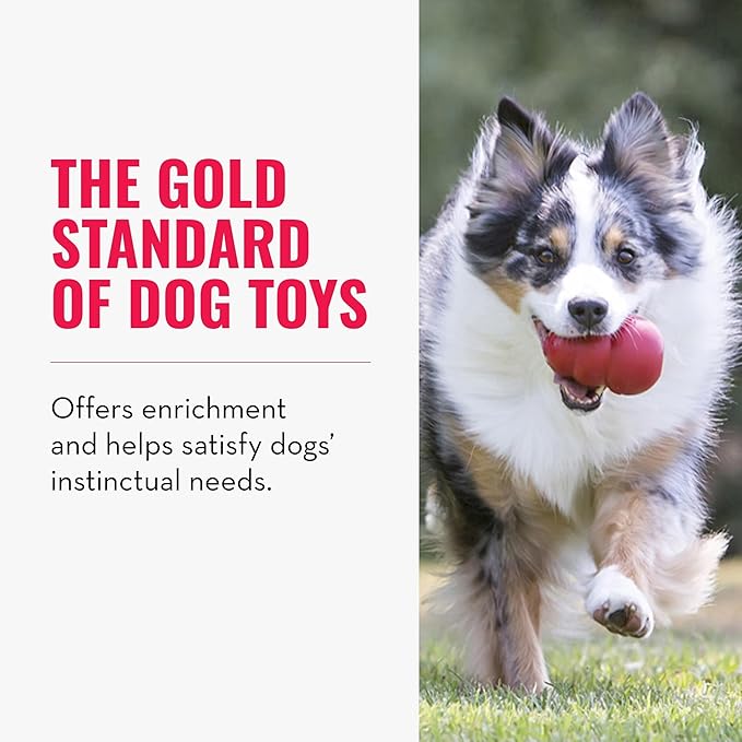 KONG Classic Stuffable Dog Toy - Fetch & Chew Toy for Dogs - Treat-Filling Capabilities & Erratic Bounce for Extended Play Time - Durable Natural Rubber Material - for Small Dogs (Pack of 2)