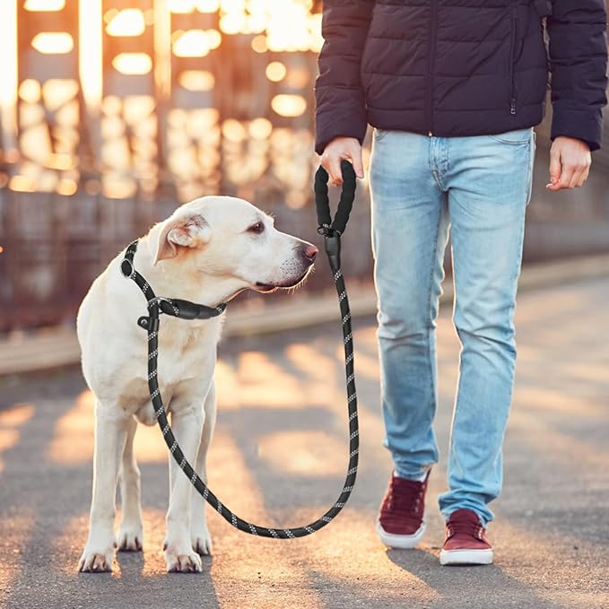 HOMIMP Slip Lead Dog Leash 6 FT - Reflective 4 PCS Bulk Color Heavy Duty Rope Dog Leash for Small Medium Large Dogs Puppy - Soft Long Padded Handle Thick Dog Leashes for Shelter, Vet, Training