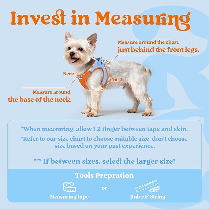 rabbitgoo Small Dog Harness, Step-in Soft Mesh Puppy Vest with Safety Buckle, Breathable Reflective Pet Harness for Small Medium Dogs, Blue & Orange XL
