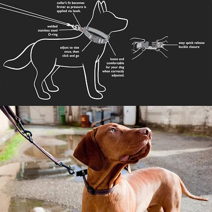 EzyDog Checkmate Martingale Collar for Dogs – Premium Nylon Training Dog Collar for Easy Control with no Choking (Large, Black)