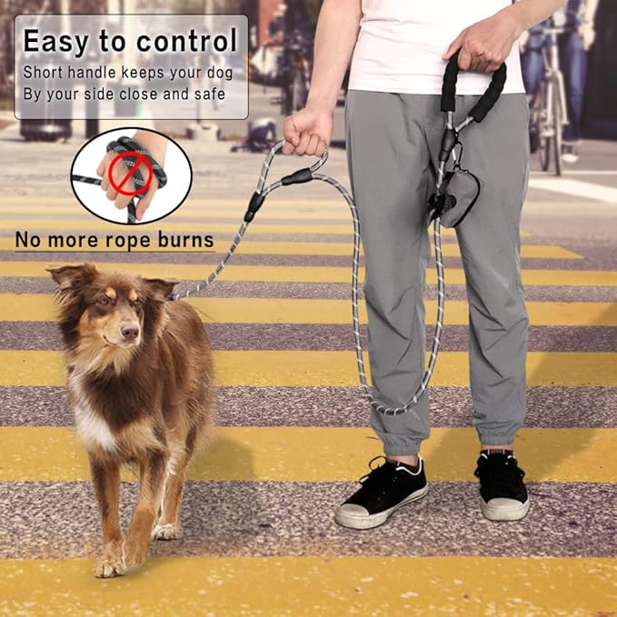 Plutus Pet Rope Dog Leash 6ft Long, Heavy Duty,Reflective Double Handle Leash for Safety Training, for Medium Large Dogs, Dual Handle Leads(Gray)