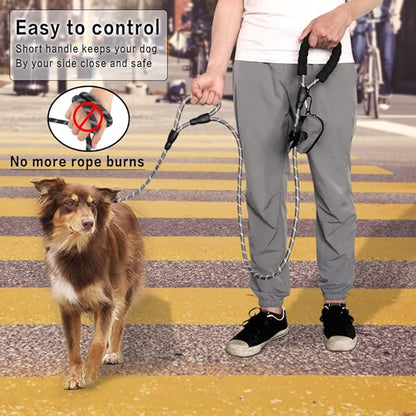 Plutus Pet Rope Dog Leash 6ft Long, Heavy Duty,Reflective Double Handle Leash for Safety Training, for Medium Large Dogs, Dual Handle Leads(Gray)