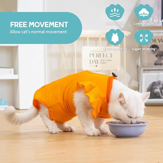 Avont Cat Recovery Suit - Post-Surgery Onesie for Cats, Alternative to Cone of Shame, Protective Spay Suit for Female Kitten, Ideal for Healing and Skin Conditions -Orange(L)
