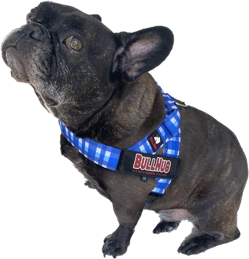 BULLHUG Adjustable Dog Harness– No Pull, No Choke – for English Bulldogs, French Bulldogs, Pugs & Broad-Chested Breeds – Easy, Safe Walks (BLUEWHITE, Small)