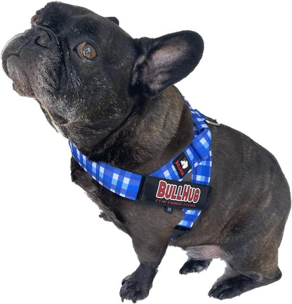BULLHUG Adjustable Dog Harness– No Pull, No Choke – for English Bulldogs, French Bulldogs, Pugs & Broad-Chested Breeds – Easy, Safe Walks (BLUEWHITE, Small)