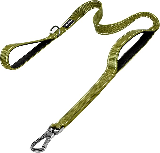 PetiFine 6FT Heavy Duty Dog Leash with Soft Padded Double Handle, Durable Strong Clasp Dog Leashes, Reflective Nylon Walking Lead for Large,Medium,Small Breed Dogs, Green