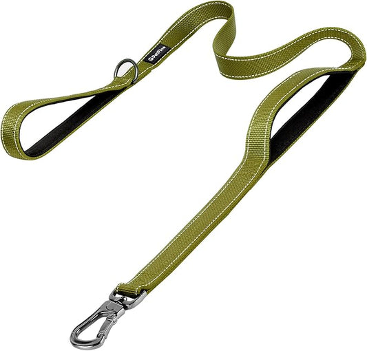 PetiFine 6FT Heavy Duty Dog Leash with Soft Padded Double Handle, Durable Strong Clasp Dog Leashes, Reflective Nylon Walking Lead for Large,Medium,Small Breed Dogs, Green