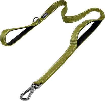 PetiFine 5FT Heavy Duty Dog Leash with Soft Padded Double Handle, Durable Strong Clasp Dog Leashes, Reflective Nylon Walking Lead for Large,Medium,Small Breed Dogs, Green