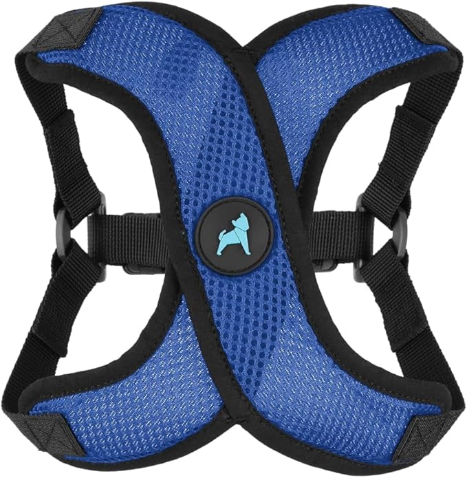 Gooby Comfort X Step in Lite Dog Harness - Choke Free, Escape Free with Light Breathable Mesh - Step in Dog Harness for Small Dogs Only - Quick Release Buckle, Metal D-Rings - Blue, X-Large