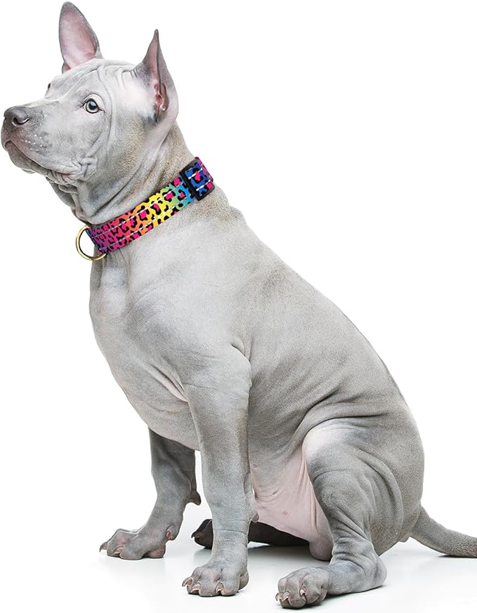 Reflective Dog Collar for Medium Dogs, Cute Leopard Style Adjustable Heavy-Duty Nylon Puppy Collar for Boy and Girl Female, Soft Pet Accessories with Quick Release Buckle, Neon