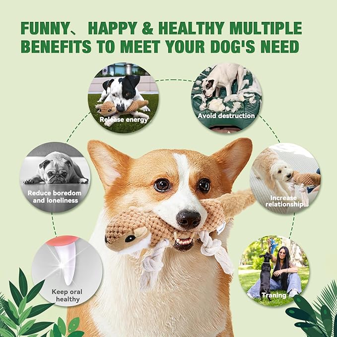 LEGEND SANDY Squeaky Plush Dog Toy Pack for Puppy, Small Stuffed Puppy Chew Toys 12 Dog Toys Bulk with Squeakers, Cute Soft Pet Toy for Small Medium Size Dogs (5 Pack)