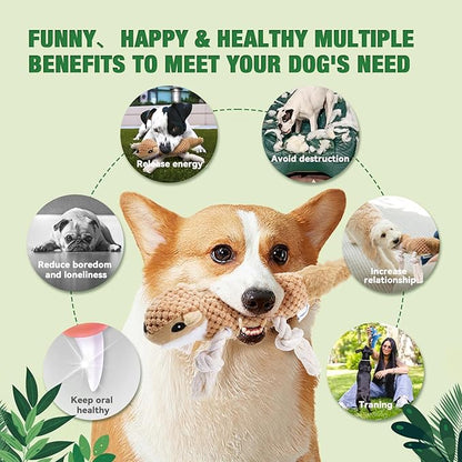 LEGEND SANDY Squeaky Plush Dog Toy Pack for Puppy, Small Stuffed Puppy Chew Toys 12 Dog Toys Bulk with Squeakers, Cute Soft Pet Toy for Small Medium Size Dogs (5 Pack)