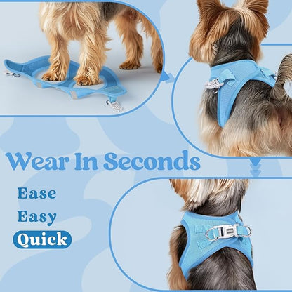 rabbitgoo Small Dog Harness, Step-in Soft Mesh Puppy Vest with Safety Buckle, Breathable Reflective Pet Harness for Extra Small Dogs, Blue XXXS