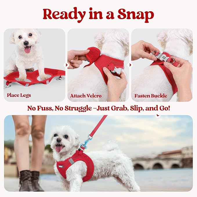 rabbitgoo Dog Harness Small Sized and Leash Set, Step in Soft Light Puppy Vest, Breathable Mesh Pet Harness, Reflective for Safe Easy Walking, Red S
