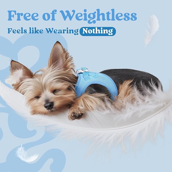 rabbitgoo Small Dog Harness, Step-in Soft Mesh Puppy Vest with Safety Buckle, Breathable Reflective Pet Harness for Large Dogs, Blue XXL