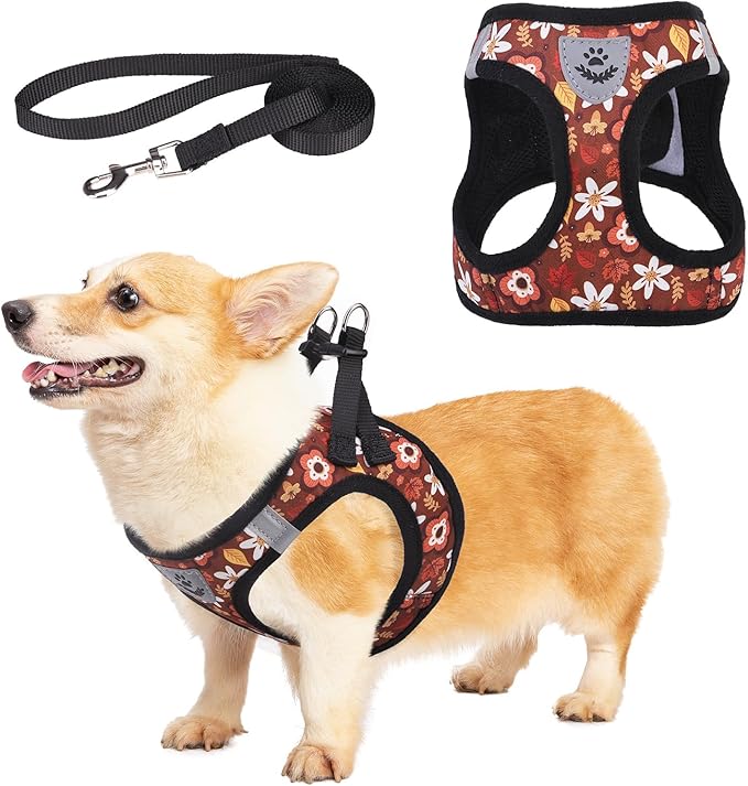 KOOLTAIL Fall Dog Harness and Leash Set for Small Medium Dogs, Autumn Step in No Pull Comfort Padded Pet Vest, Adjustable Reflective Easy Walking Puppy Cats Harness Training, Leaf & Flower M