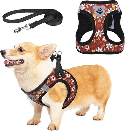 KOOLTAIL Fall Dog Harness and Leash Set for Small Medium Dogs, Autumn Step in No Pull Comfort Padded Pet Vest, Adjustable Reflective Easy Walking Puppy Cats Harness Training, Leaf & Flower M