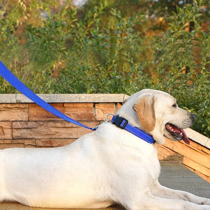 Dog Leash 6 FT Padded Handle Nylon Reflective Dogs Leashes for Small Dogs Blue