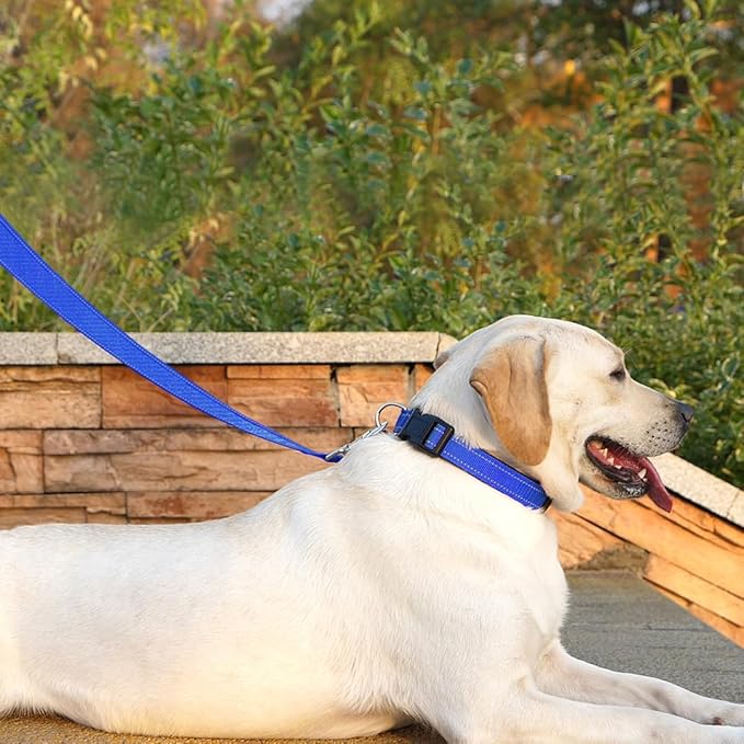 Dog Leash 6 FT Padded Handle Nylon Reflective Dogs Leashes for Large Dogs Blue